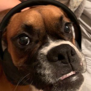 Meet your Posher, Cheyenne